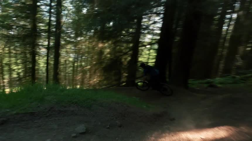 Cyclist rides along a dirt trail through a forest