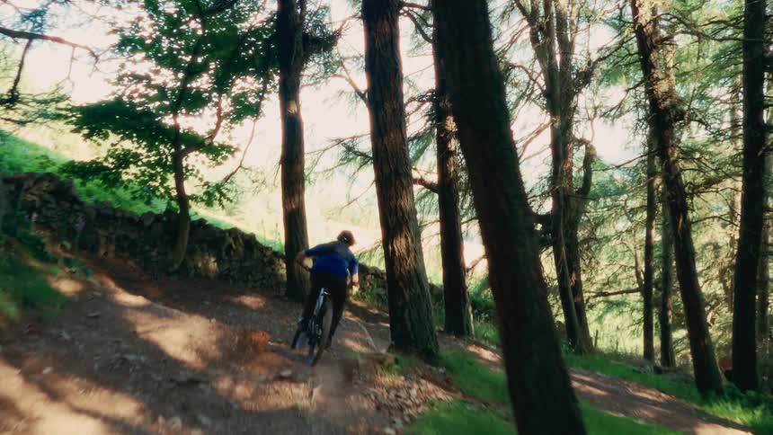 A mountain biker rides down a rough path in the woods surrounded by trees at midday
