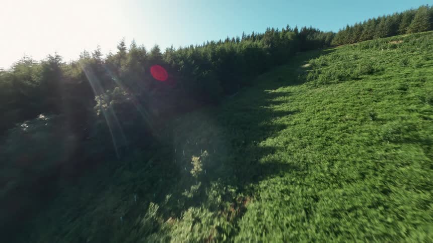 An aerial view shows a path through hillside and forest