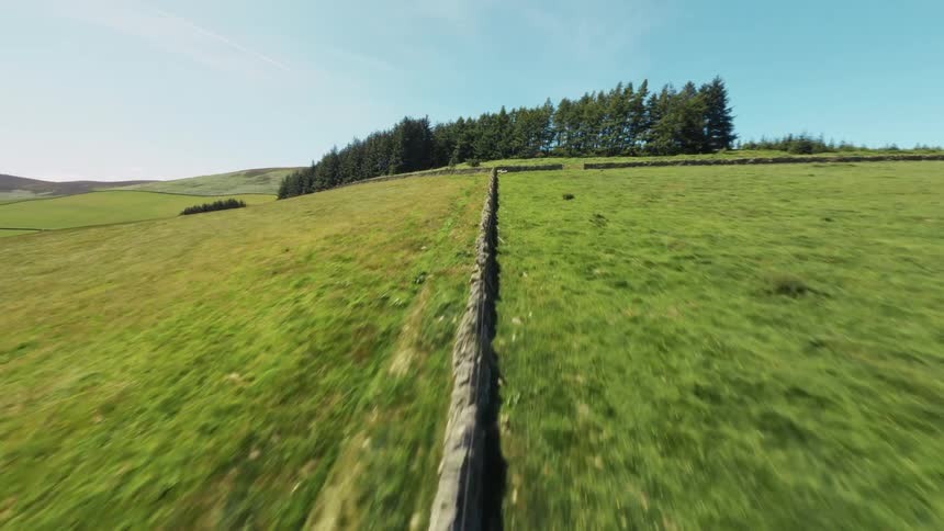 Stone fence in a green field with animals