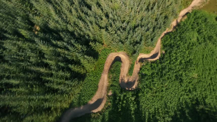 A cyclist rides along a winding dirt path surrounded by dense greenery and tall trees under a clear blue sky