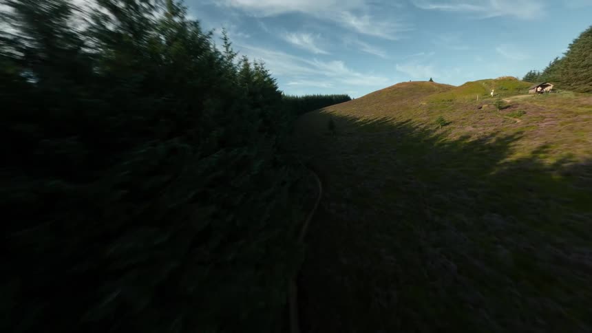 Lush green hill covered with dense vegetation and a winding trail running beside a tall conifer forest under bright daylight