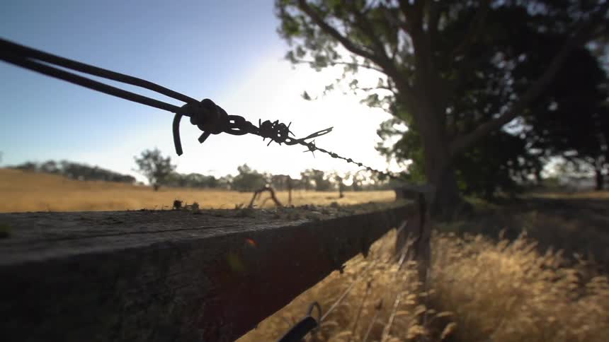 View of a fence in a field