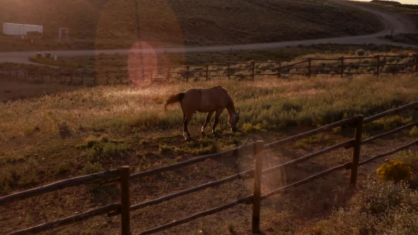 Horse grazing in a wooden corral at sunset