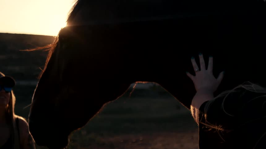 A brown horse is petted by two women on a ranch at sunset