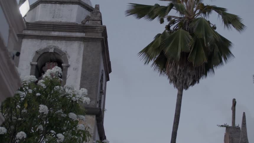 Church tower with a bell next to a palm tree