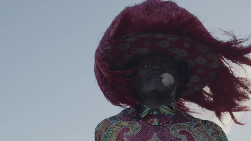 A person is dressed in a richly patterned multicolored garment with swirling designs and a large dramatic red feathered hat that frames their face against a cloudy sky