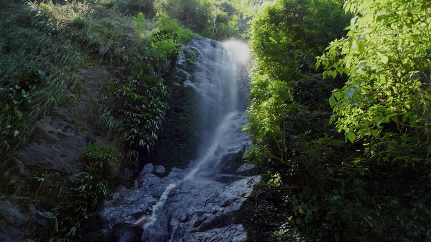 A waterfall with water coming out of smooth rocks amidst some green leaves of trees