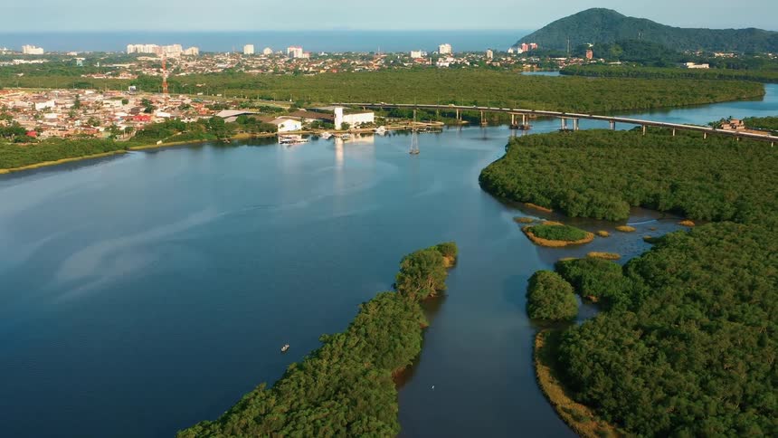 River bordered by mangroves stretches toward a city with a bridge in the background