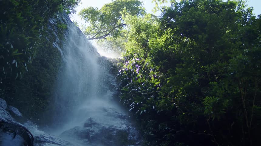 A waterfall cascading down mossy rocks in a lush green forest environment