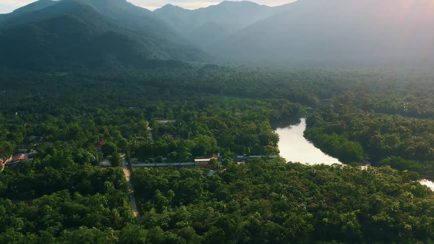 Aerial view of a tropical forest with a river and village