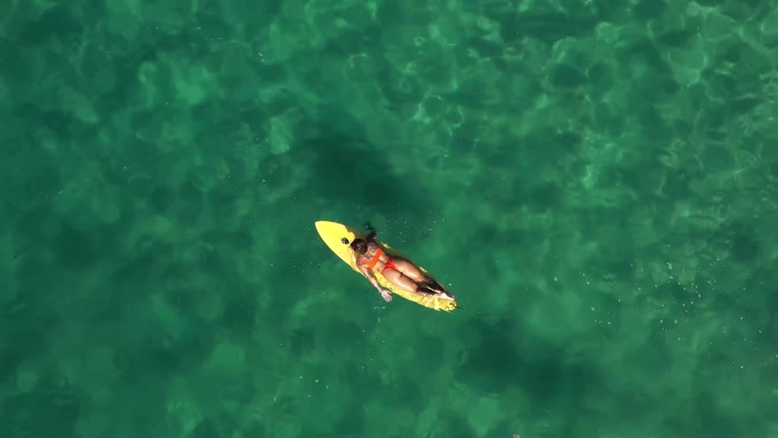 Overhead view female surfers floating on thier surfboards in the ocean