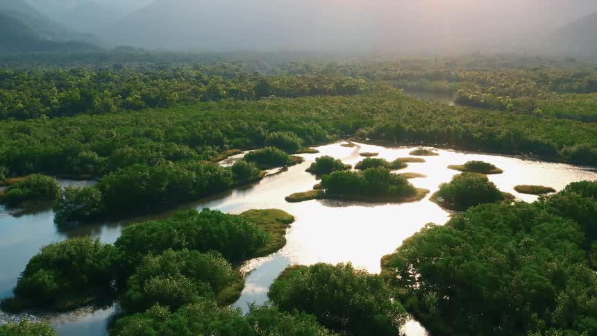 Evening light reflects on a river surrounded by vegetation and mountains
