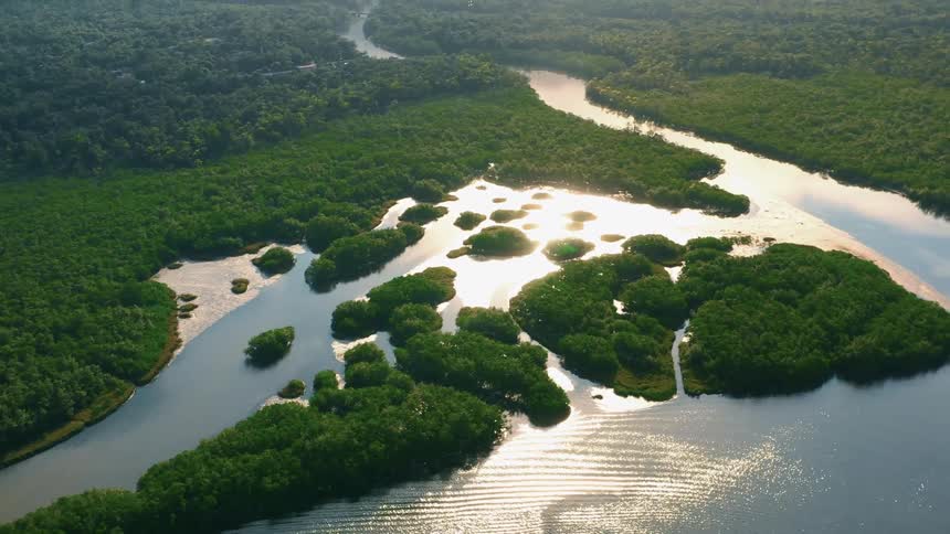 An aerial view captures a wide river winding through a dense lush green forest or jungle sunlight reflects brilliantly off the waters surface creating a sparkling effect