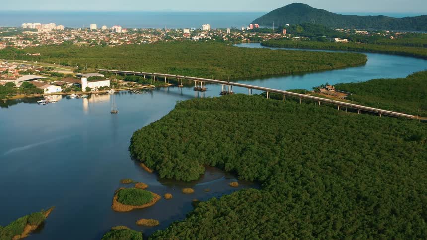 An aerial view shows a wide blue river winding through a lush green landscape of trees and small islands a long bridge crosses the river and a city is visible on the riverbank with the ocean and a mountain in the distance