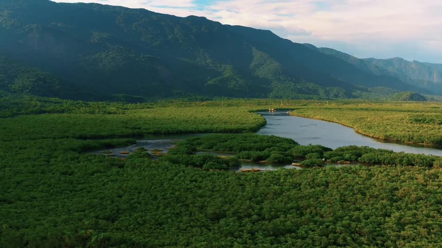 Aerial view of a mangrove with a river surrounded by mountains