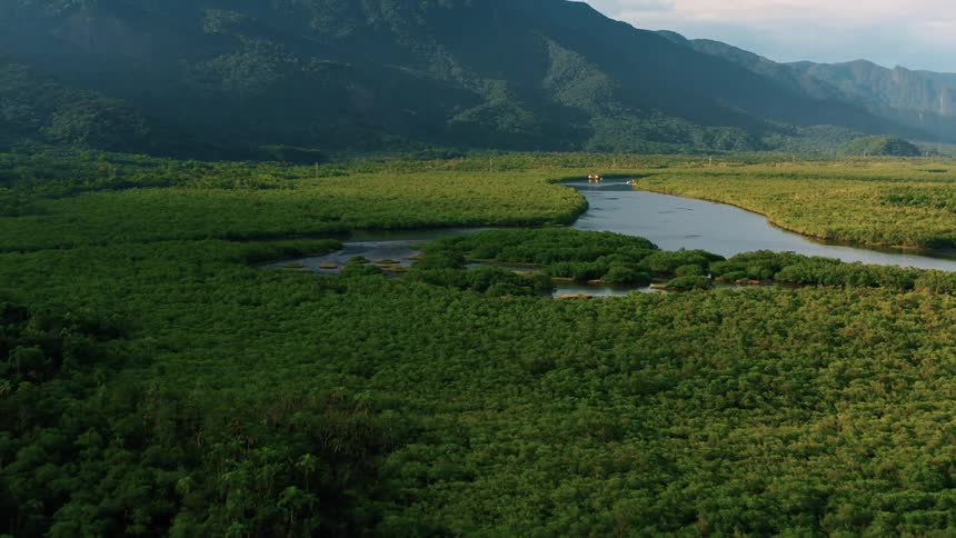 River winds through dense forest at the foot of mountains