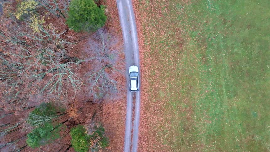 Birds eye view driving on a road along the forest in the fall