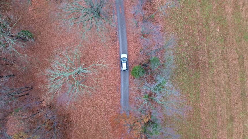 A car drives down a lonely road lined with fallen leaves from trees at midday