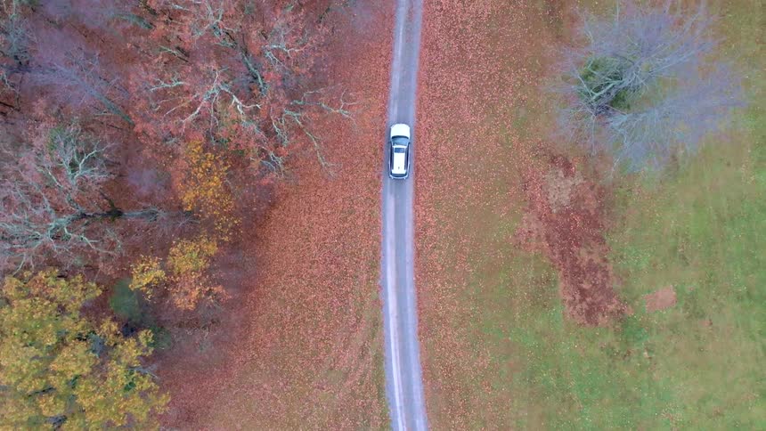 The video shows a white car from a high aerial view driving along a singlelane road the road is surrounded by fields and trees with autumn foliage the video has a watermark that reads filmsupply
