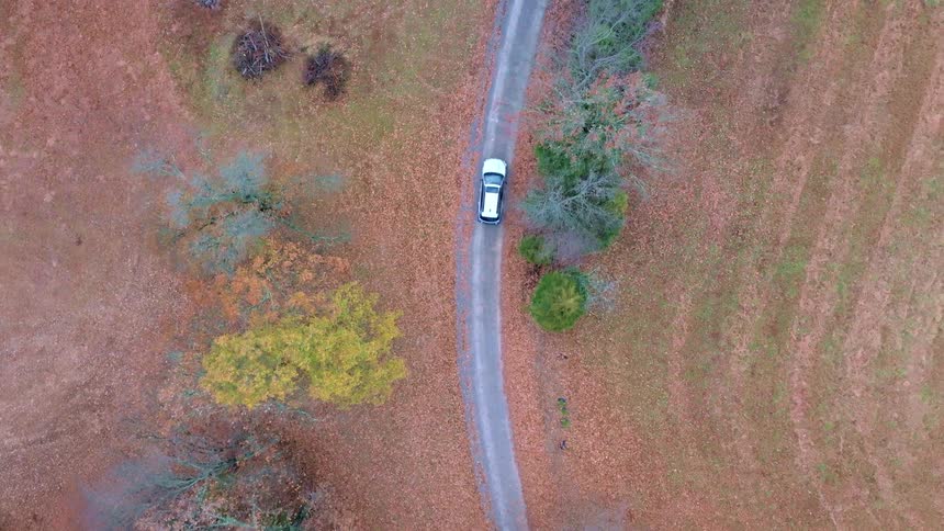 White car drives along a narrow road surrounded by autumn trees seen from above