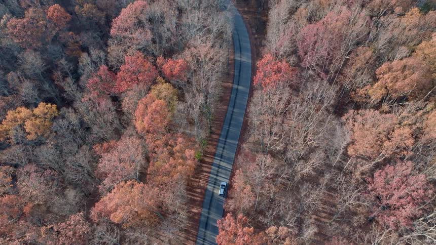 Car drives along a winding road through a forest with autumn foliage