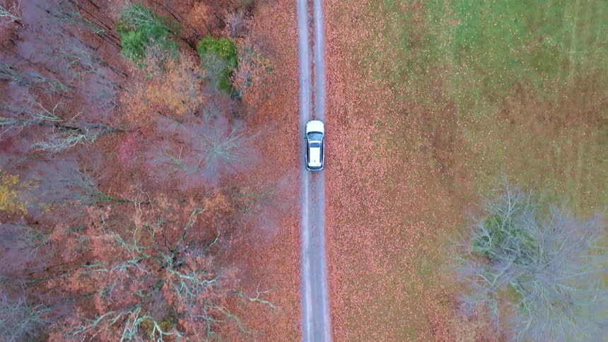 Silver car traveling down a road surrounded by autumn trees