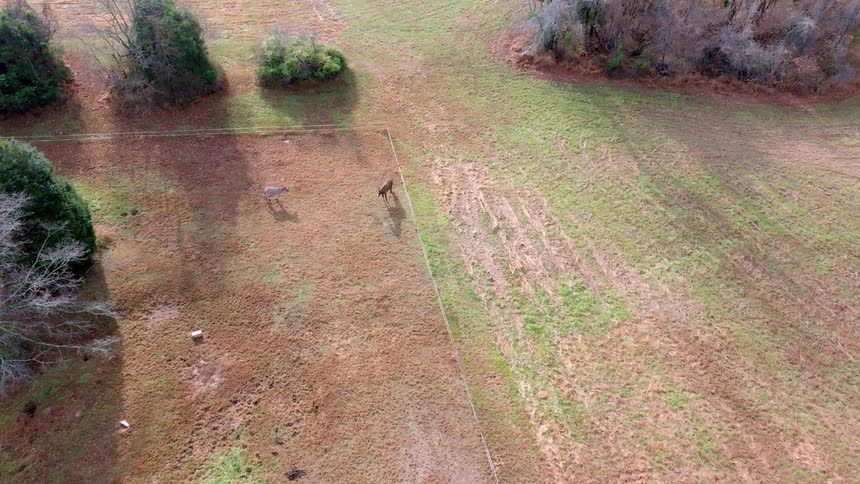 Birds eye view of horses running around a large open field in the country