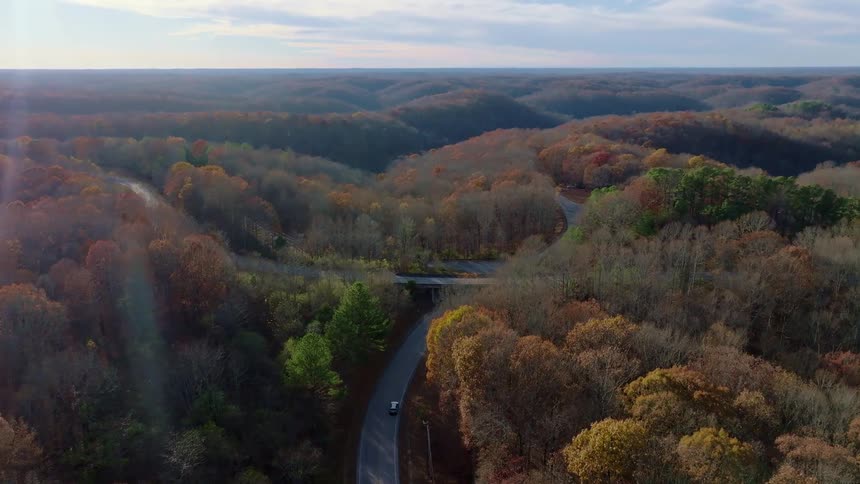 Car drives along a road surrounded by a vast forest with autumncolored trees