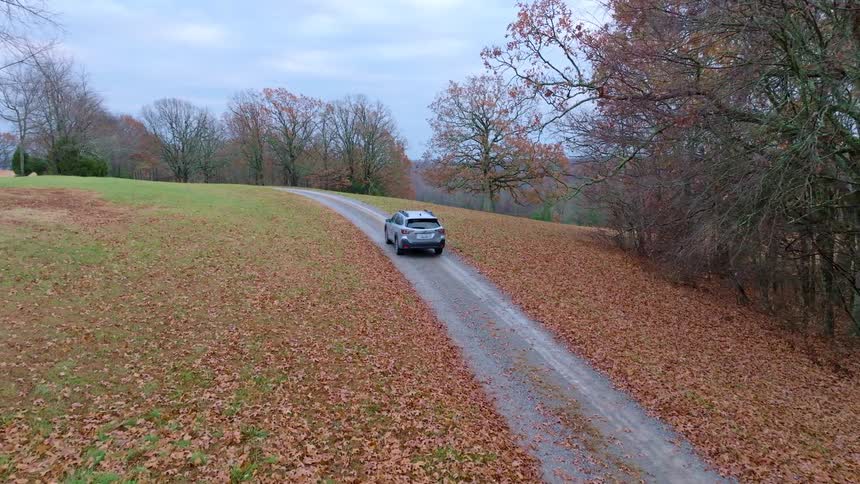 A car drives a rural road covered in autumn leaves