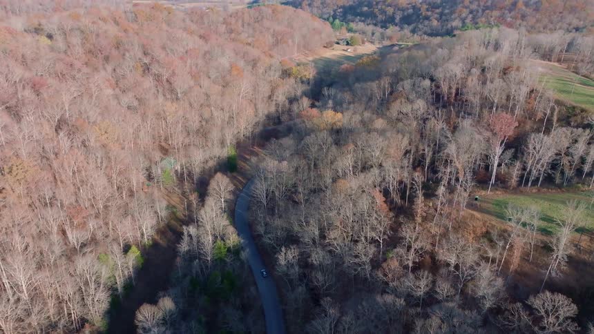 A car drives on a road lined on both sides with forests of leafless trees in the fall season at midday