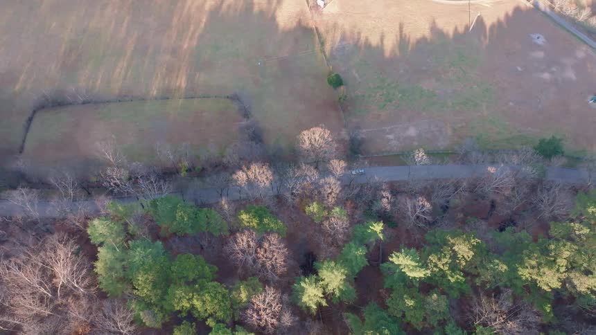 Birds eye view driving on a road along the forest in the fall in the countryside