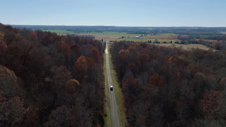 Car traveling along a road surrounded by a forest