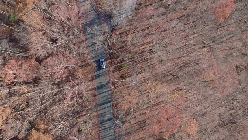 Car drives along a road surrounded by autumn trees seen from above