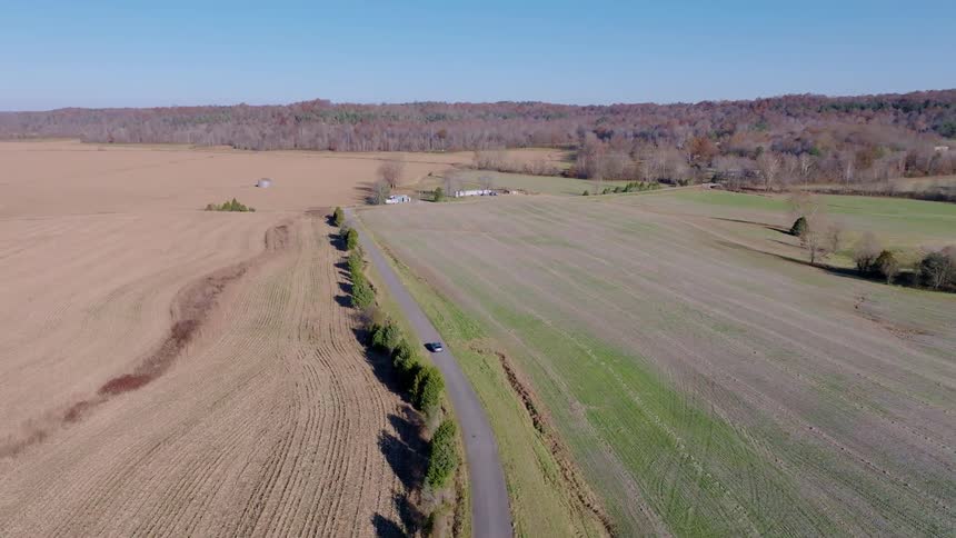 Rural road cuts through cultivated fields under clear blue sky