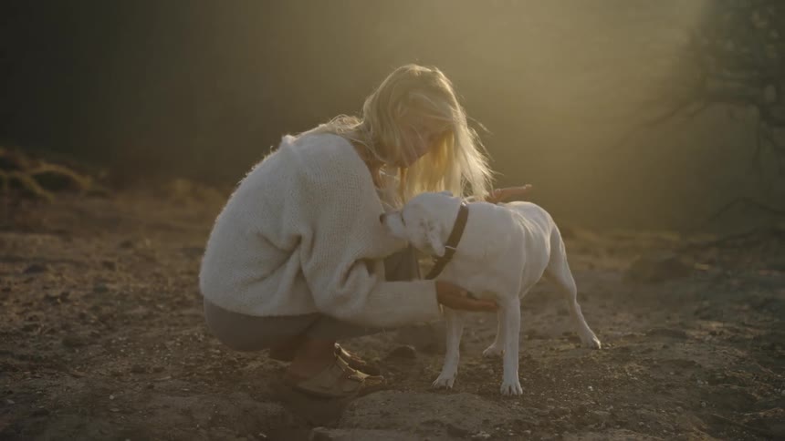 A woman pets a dog in golden sunlight