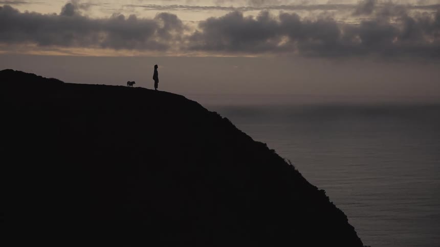 A lone silhouetted figure stands on a cliffs edge with their dog overlooking the ocean