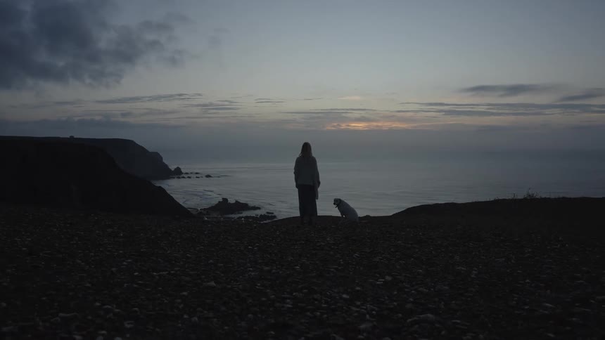 Person with a dog watching the sea at dusk
