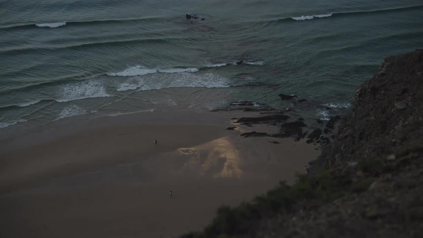 Two people walking on the sand of the beach seen from above