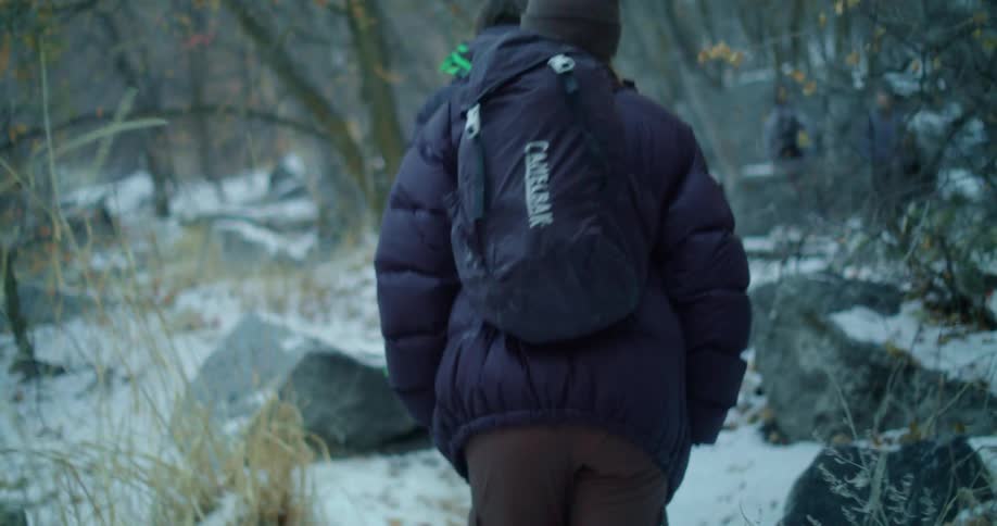 Person with a backpack walking along a snowy trail among trees
