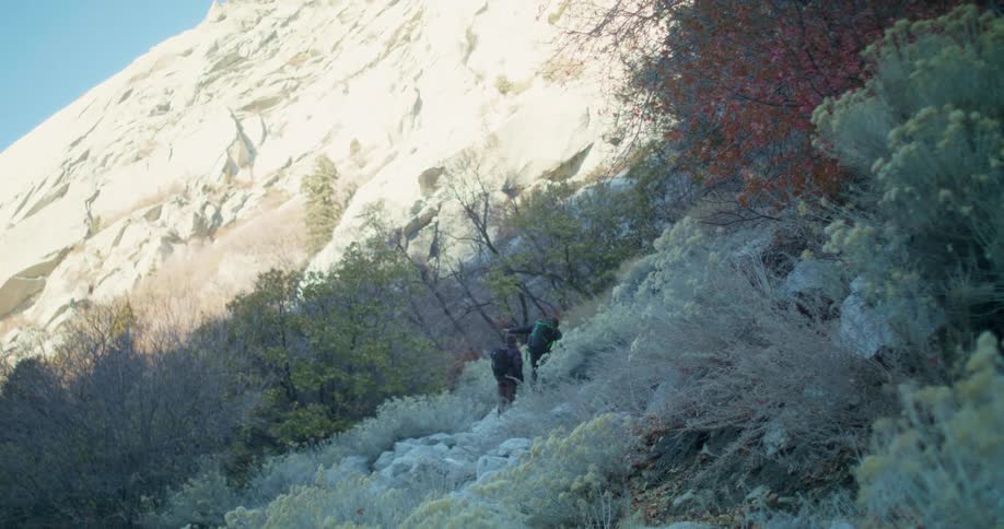 Two climbers ascending a steep trail surrounded by vegetation with a rocky mountain in the background