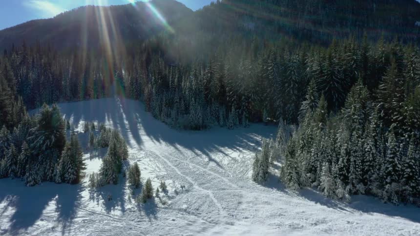 Rays of sunlight stream down over a snow covered wilderness at the base of a mountain