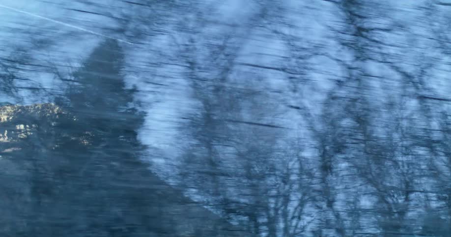 A blurred view of trees and a mountain