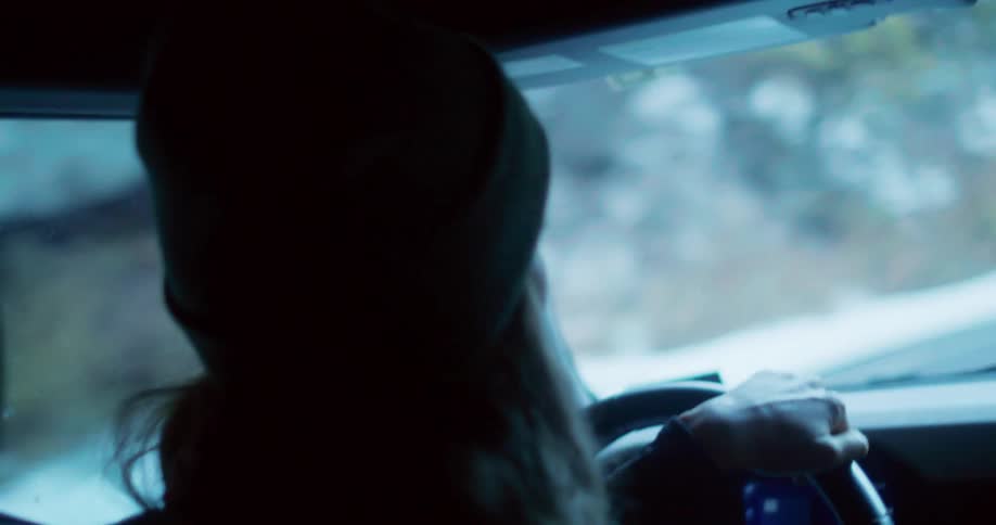 The video shows a dark interior shot of a person with long hair driving a car the drivers hands are visible on the steering wheel and the dashboard screen is lit up with blue numbers outside the car window a blurred snowy landscape is visible the w