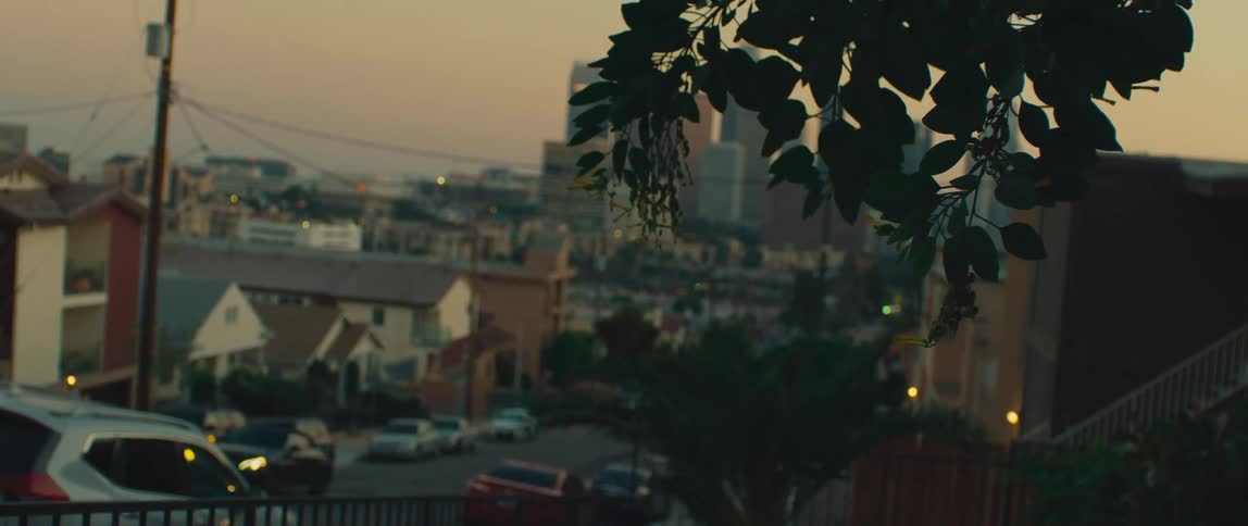 City rooftops and streets stretch toward tall buildings in the distance at dusk with tree branches framing the foreground