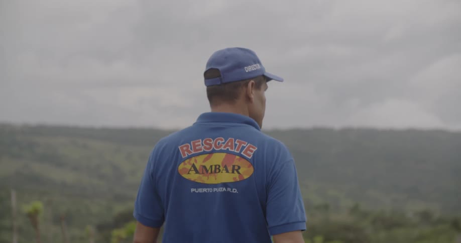 A man is walking in the bushes on a hill