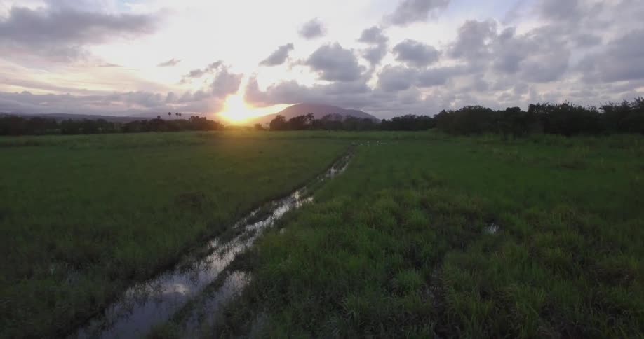 The sun shines over a moist agricultural field