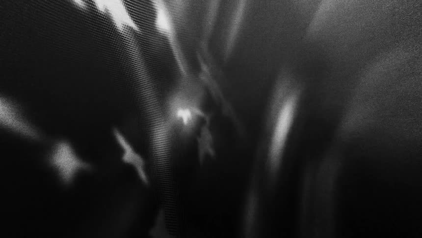 Digital effects of birds that are displayed as blurry white silhouettes