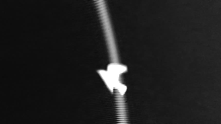 Diffused white lights from birds