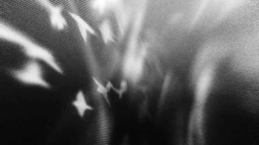 A blackandwhite scene shows a flock of birds in flight their blurred forms creating a soft abstract effect